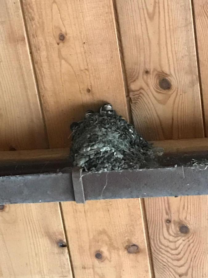 Hering Fewo II Apartment Balcony Wiek auf Rügen Kültér fotó